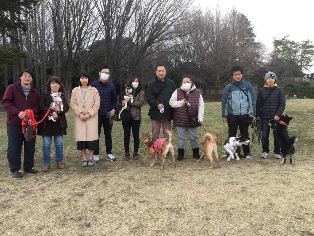横浜市の犬のしつけレッスン/今日のわん子達