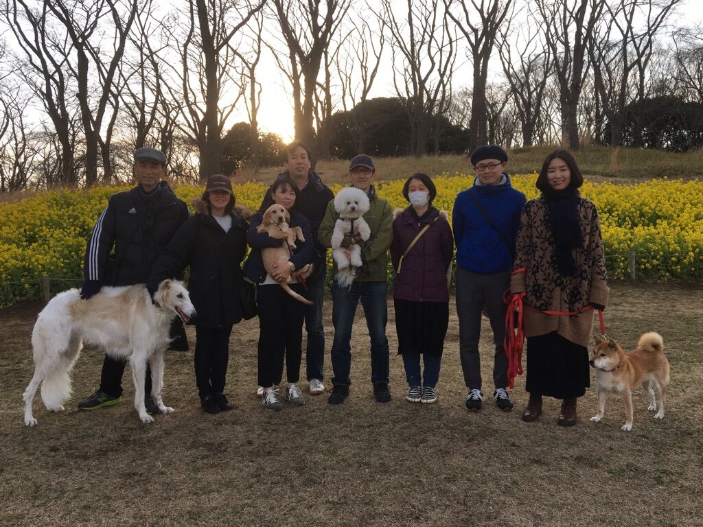 横浜市の犬のしつけレッスン/今日のわん子達