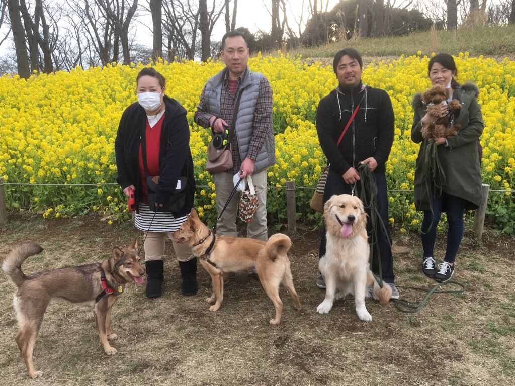 横浜市の犬のしつけレッスン/今日のわん子達