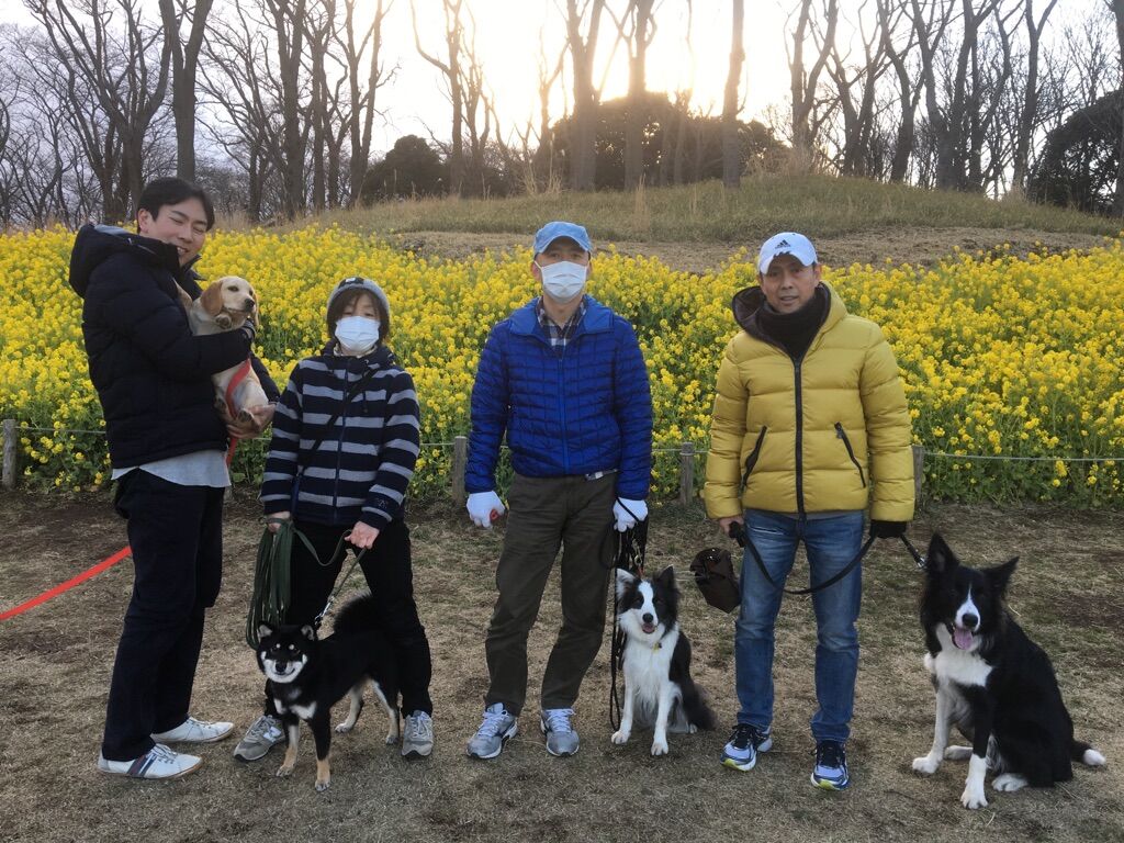 横浜市の犬のしつけレッスン/今日のわん子達