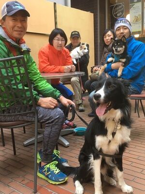 横浜市の犬のしつけレッスン/今日のわん子達