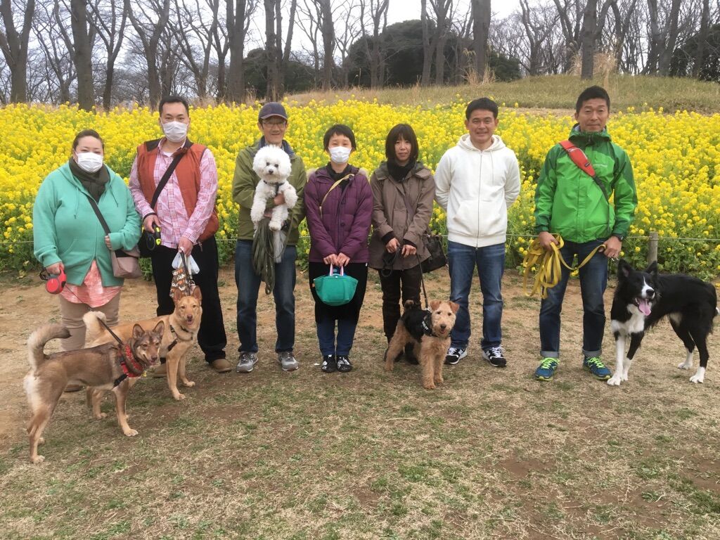 横浜市の犬のしつけレッスン/今日のわん子達