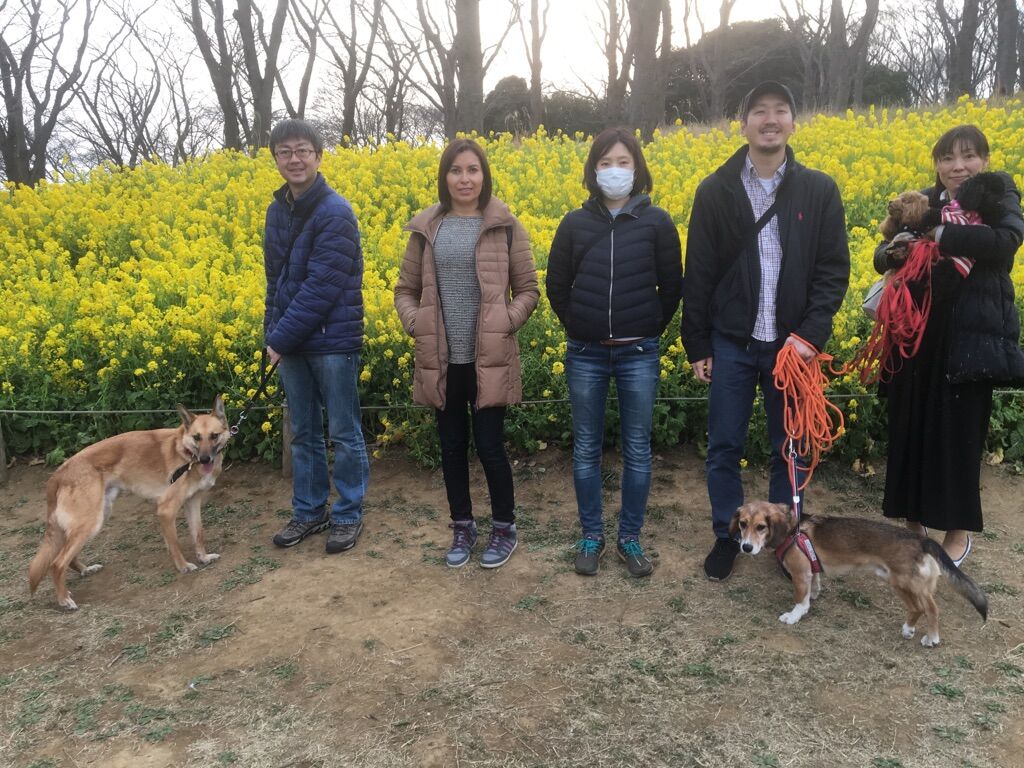 横浜市の犬のしつけレッスン/今日のわん子達