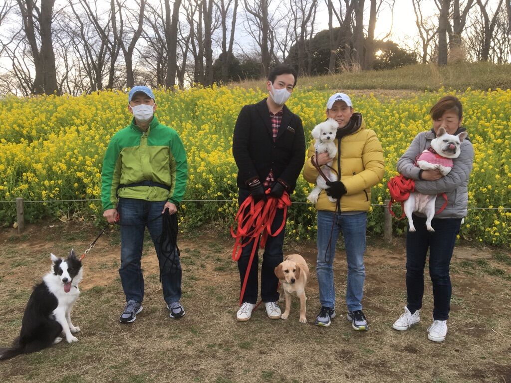 横浜市の犬のしつけレッスン/今日のわん子達
