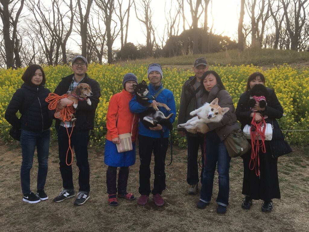 横浜市の犬のしつけレッスン/今日のわん子達