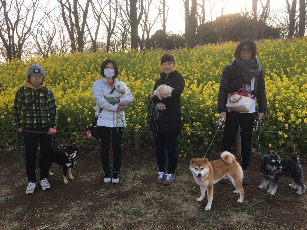 横浜市の犬のしつけレッスン/今日のわん子達