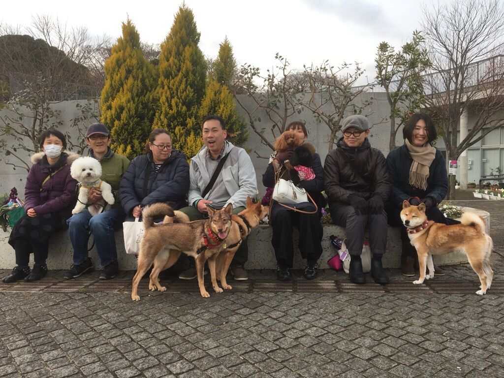 横浜市の犬のしつけレッスン/今日のわん子達