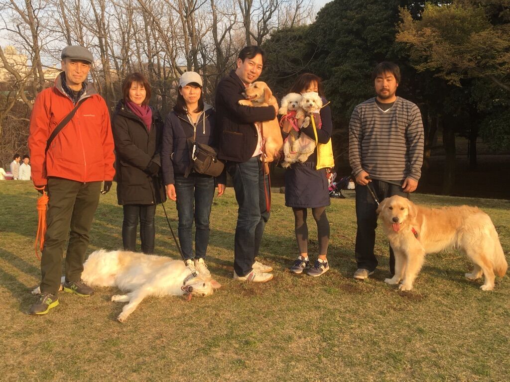 横浜市の犬のしつけレッスン/今日のわん子達