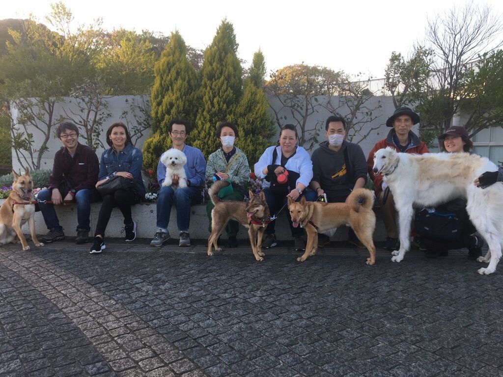 横浜市の犬のしつけレッスン/今日のわん子達