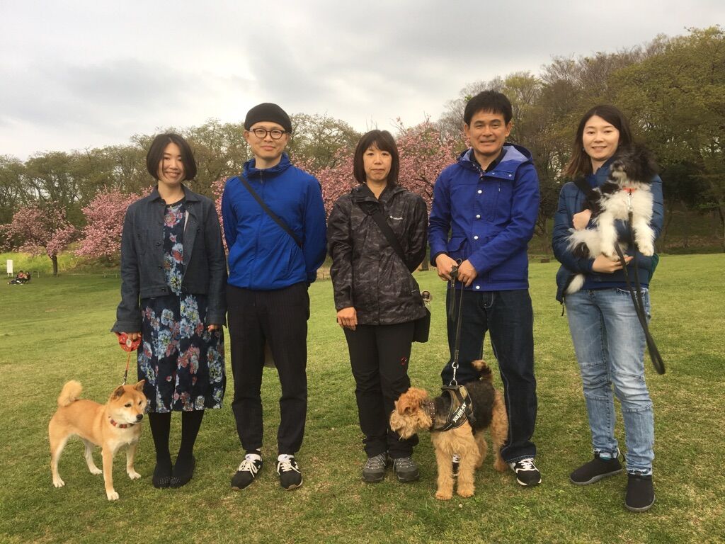 横浜市の犬のしつけレッスン/今日のわん子達