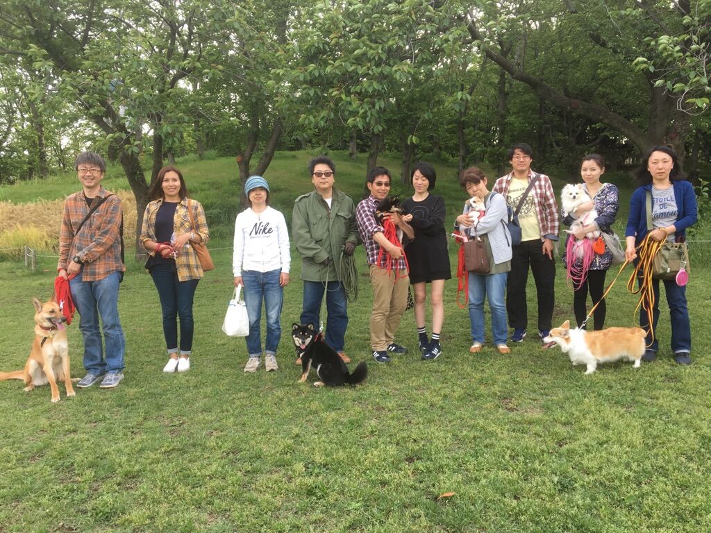 横浜市の犬のしつけレッスン/今日のわん子達