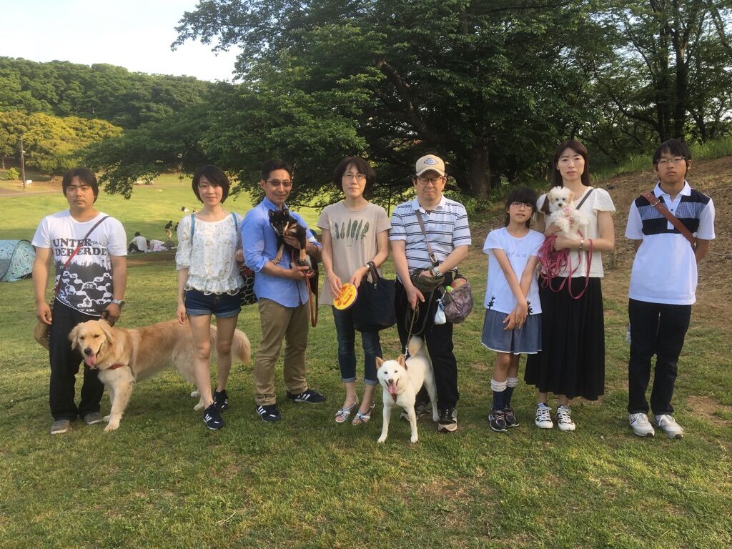 横浜市の犬のしつけレッスン/今日のわん子達