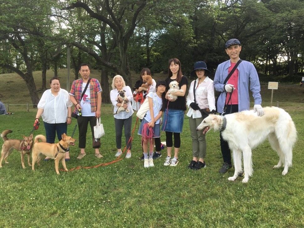 横浜市の犬のしつけレッスン/今日のわん子達