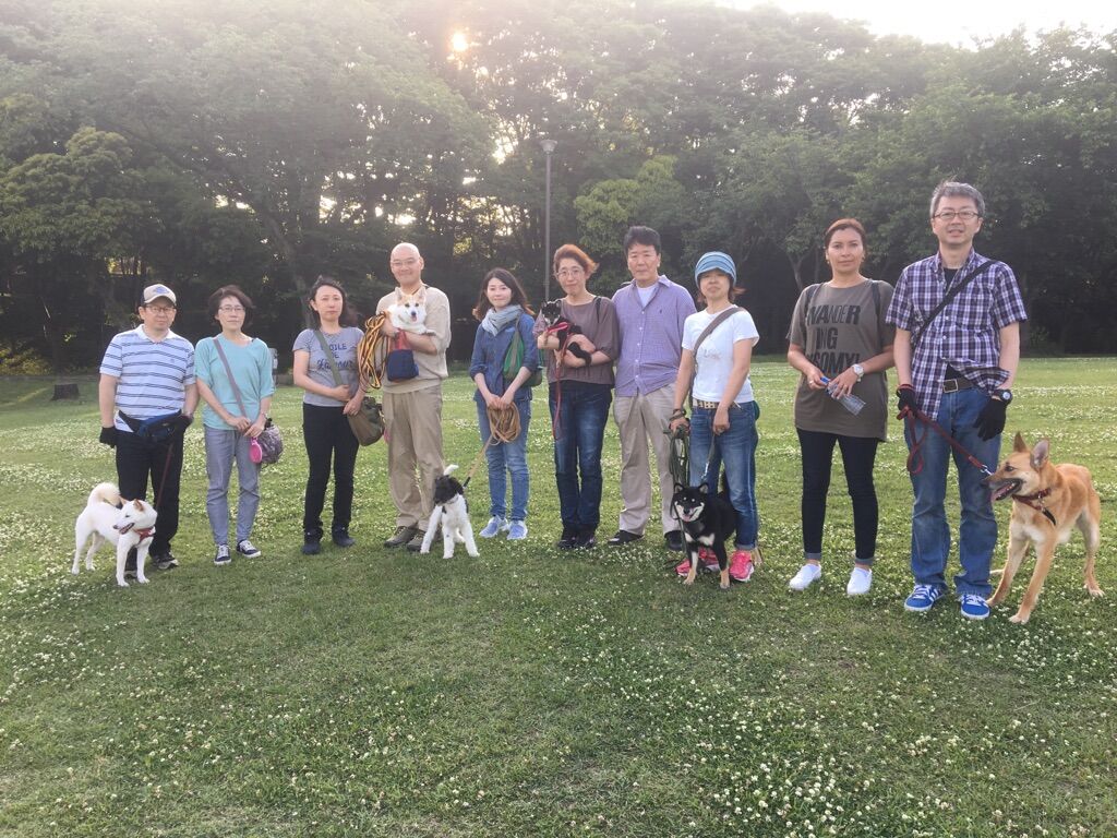 横浜市の犬のしつけレッスン/今日のわん子達