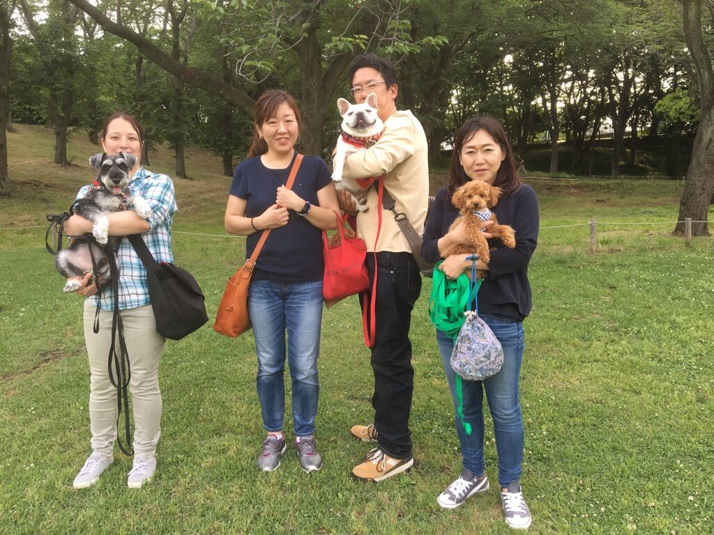 横浜市の犬のしつけレッスン/今日のわん子達