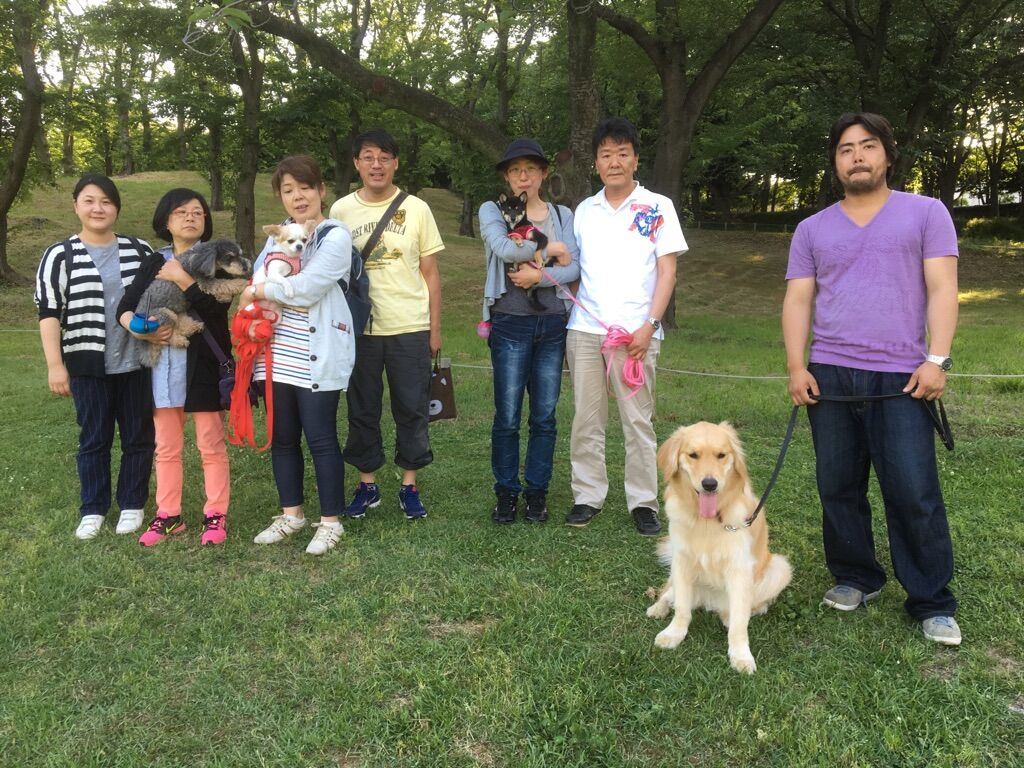 横浜市の犬のしつけレッスン/今日のわん子達