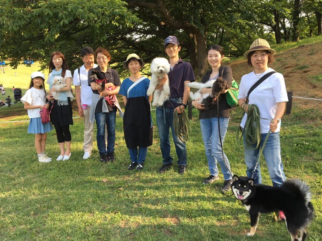 横浜市の犬のしつけレッスン/今日のわん子達