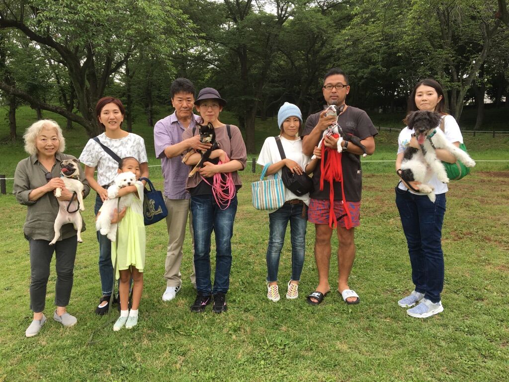 横浜市の犬のしつけレッスン/今日のわん子達