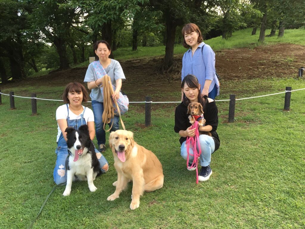 横浜市の犬のしつけレッスン/今日のわん子達