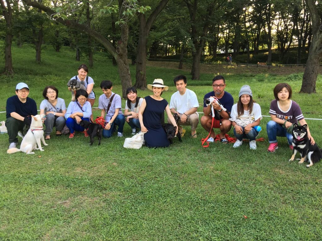 横浜市の犬のしつけレッスン/今日のわん子達
