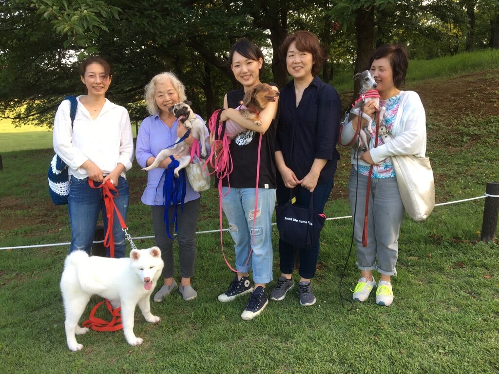 横浜市の犬のしつけレッスン/今日のわん子達