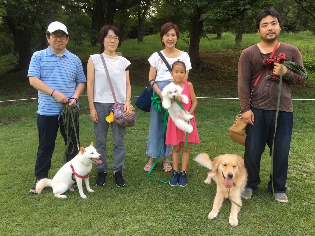 横浜市の犬のしつけレッスン/今日のわん子達