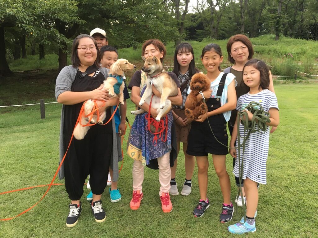 横浜市の犬のしつけレッスン/今日のわん子達