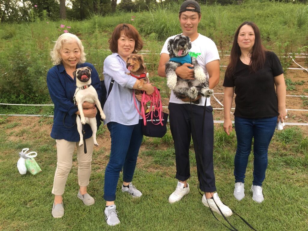 横浜市の犬のしつけレッスン/今日のわん子達