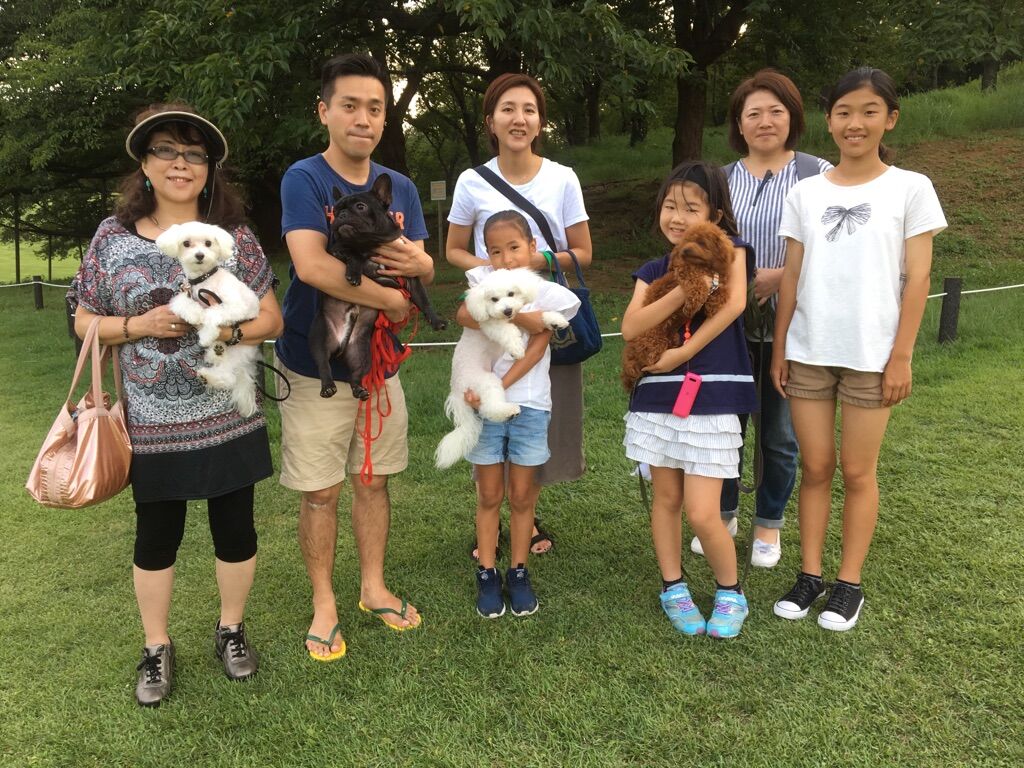 横浜市の犬のしつけレッスン/今日のわんこ達