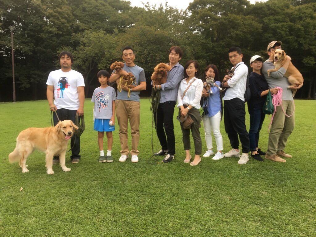 横浜市の犬のしつけレッスン/今日のわん子達