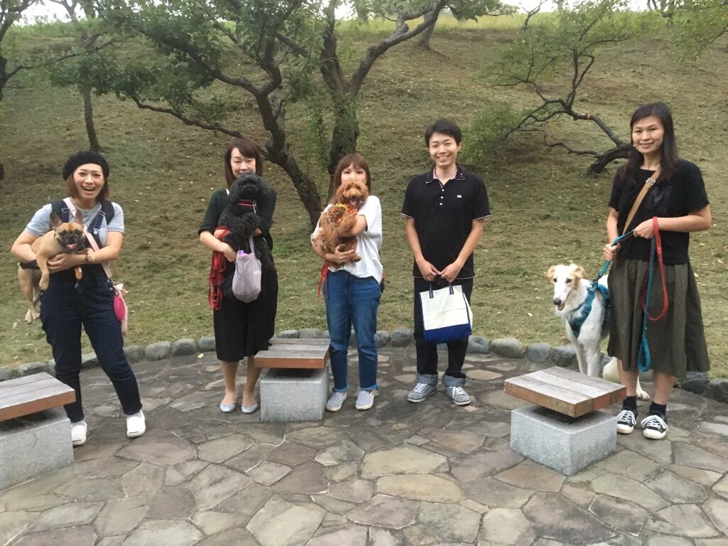 横浜市の犬のしつけレッスン/今日のわん子達