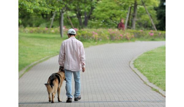 あなたの犬は幸せですか～お散歩の意味～
