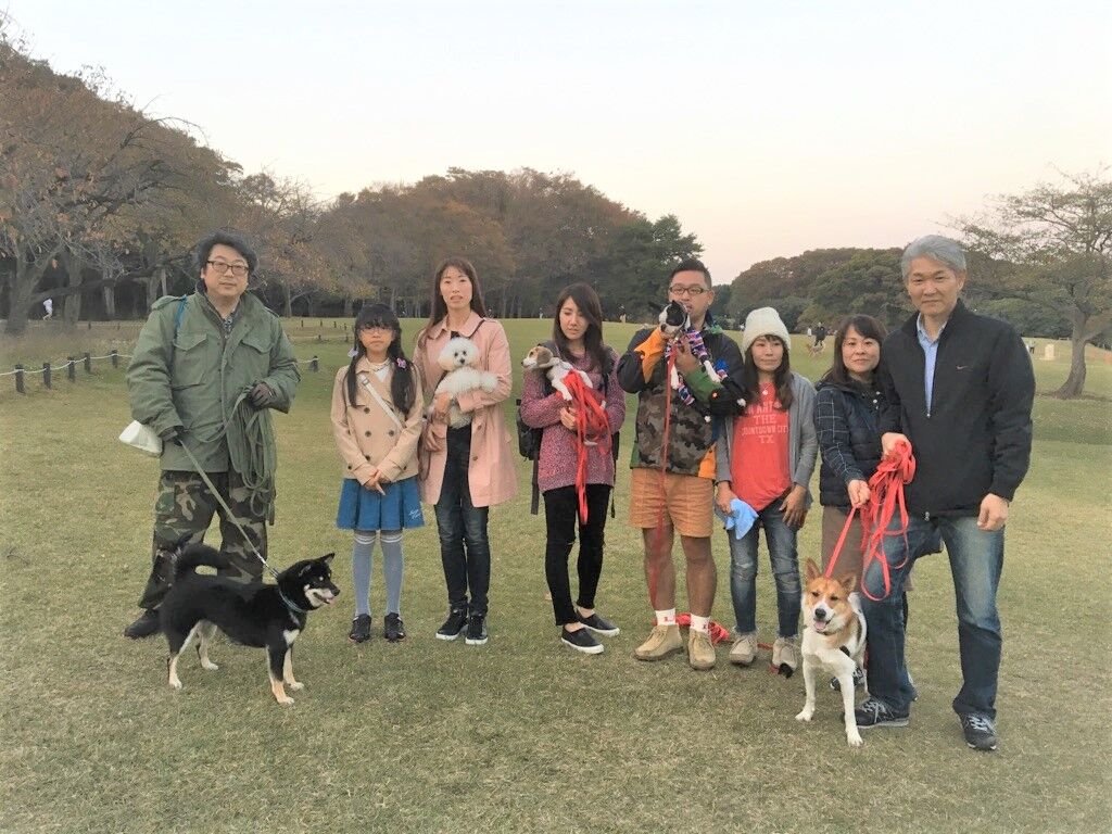 横浜市の犬のしつけレッスン/今日のわん子達
