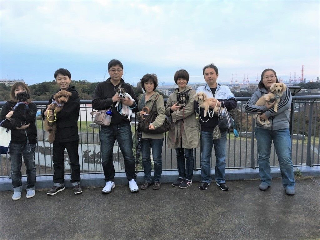 横浜市の犬のしつけレッスン/今日のわん子達