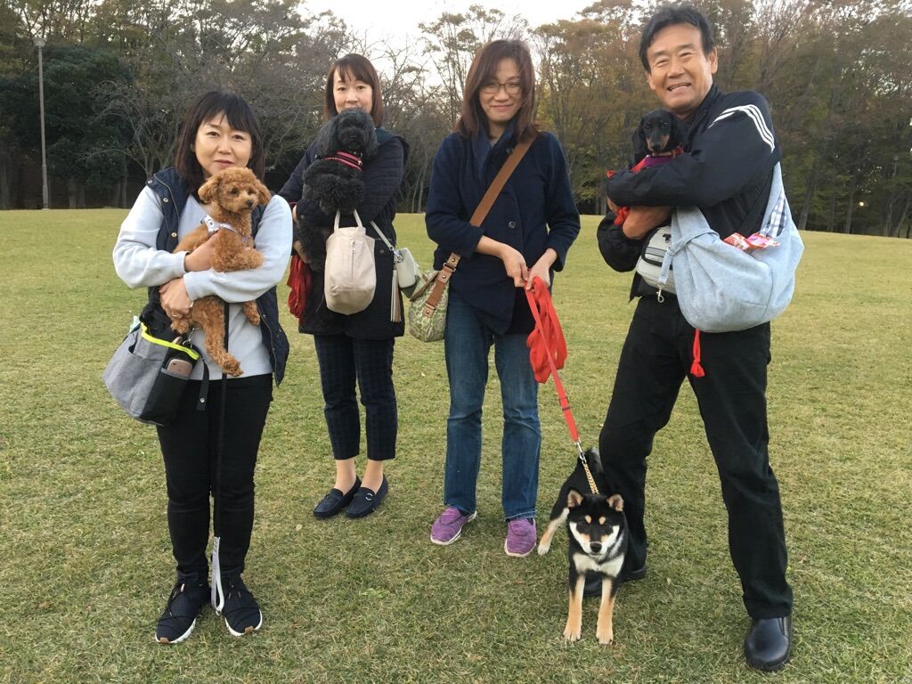 横浜市の犬のしつけレッスン/今日のわん子達