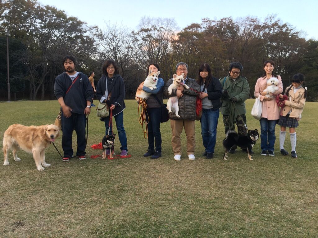 横浜市の犬のしつけレッスン/今日のわん子達