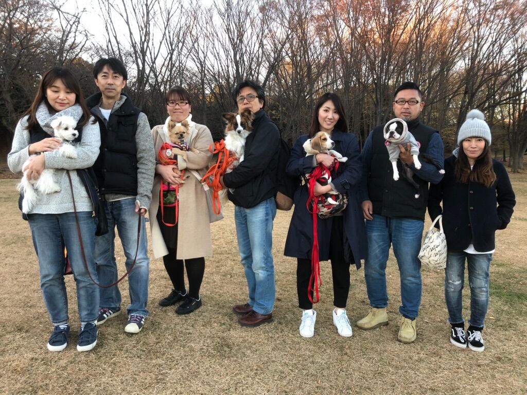 横浜市の犬のしつけレッスン/お散歩レッスン～今日のわん子達