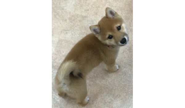 新入生紹介