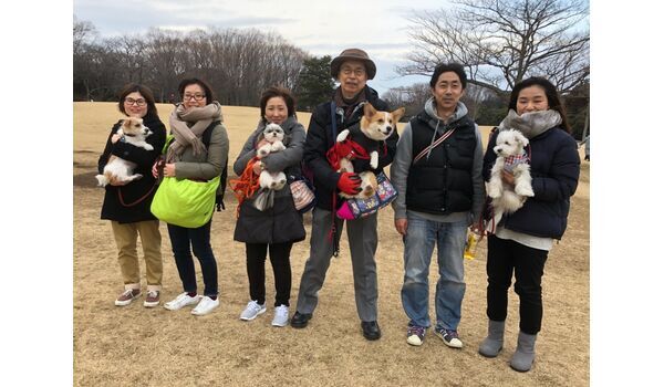 犬のしつけ出張レッスン～お散歩レッスン今日のわん子達～