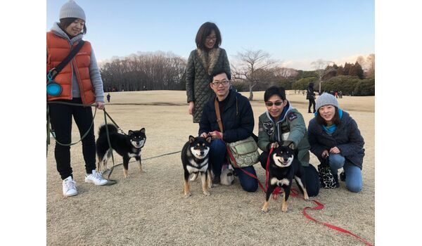 犬のしつけ出張レッスン～今日のわん子達～