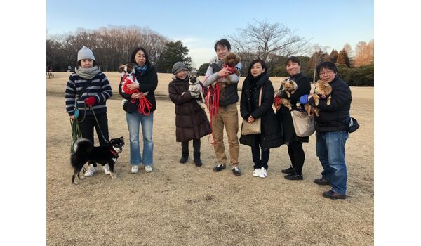犬のしつけ出張レッスン～今日のわん子達～