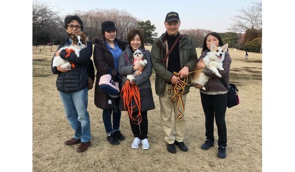 犬のしつけ出張レッスン～お散歩レッスン今日のわん子達～