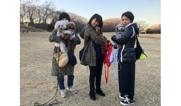 犬のしつけ出張レッスン～お散歩レッスン今日のわん子達～