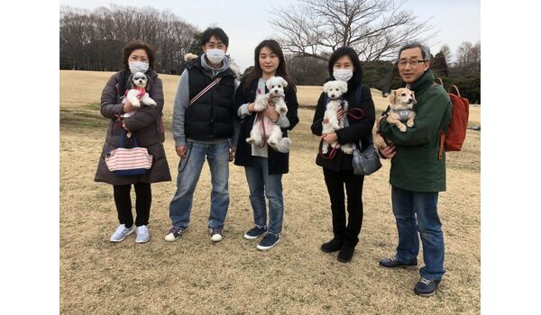 犬のしつけ出張レッスン～お散歩レッスン今日のわん子達～