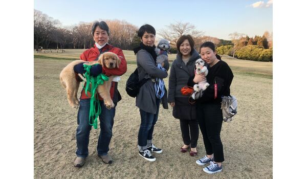 犬のしつけ出張レッスン～お散歩レッスン今日のわん子達～