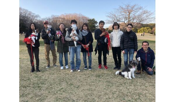 犬のしつけ出張レッスン～お散歩レッスン今日のわん子達～