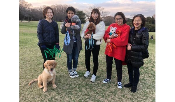 犬のしつけ教室・出張レッスンドッグスクール ヴィッセ～今日のわん子達～ 