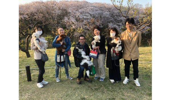 犬のしつけ教室・出張レッスンドッグスクール ヴィッセ～今日のわん子達～ 