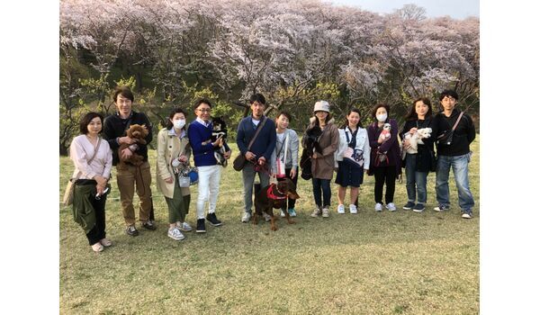 犬のしつけ教室・出張レッスン ドッグスクール ヴィッセ～今日のわん子達～ 