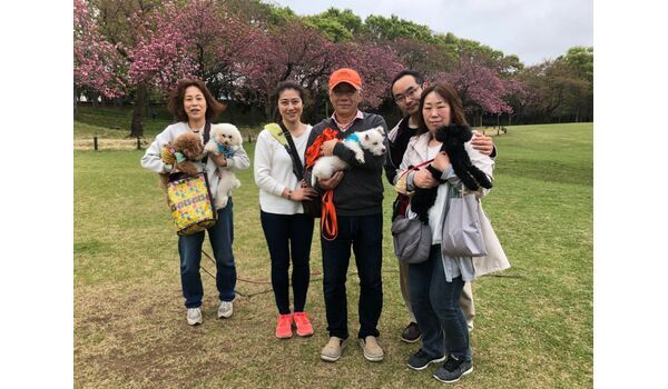 犬のしつけ教室・出張レッスンドッグスクール ヴィッセ～今日のわん子達～ 